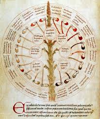 Uroscopy Wheel 15th Century In 2019 Color Of Urine 15th