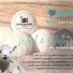 Wool & Wellness: A Benefit Event