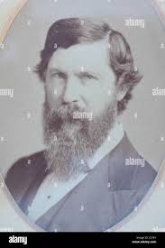 D baird hi-res stock photography and images