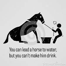 You Can Lead A Horse To Water But You Cannot Make Him Drink Water Quotes Horses Inspirational Posters