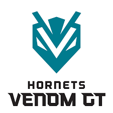 This clipart image is transparent backgroud and png format. Hornets Venom Gt Charlotte Hornets Reveal Nba 2k League Team Name Logo Dimer