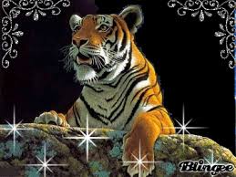 Https Encrypted Tbn0 Gstatic Com Images Q Tbn 3aand9gcq5pcpixmdalrlqhwhwiqfhxlqj5 9agx1bzw Usqp Cau