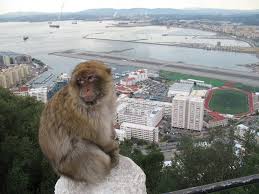 Check spelling or type a new query. Gibraltar Affenfelsen Medienwerkstatt Wissen C 2006 2021 Medienwerkstatt