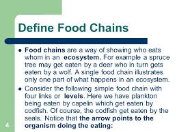 All ecosystem have feeding hierarchy which includes the sun. Food Chains And Food Webs Ppt Video Online Download