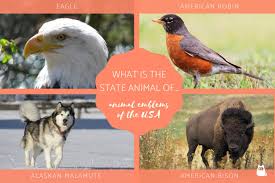 Let us explore more about its history, geography, culture, people, economy and more. What Is The State Animal Of Animal Emblems Of The United States