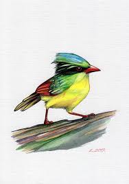 Sketch Bird Of Paradise Drawing Bird Tropical Bird Blue Green White Yellow Red Black Watercolor Original Painting Art Quick Sketch