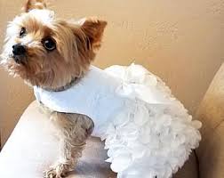 This Item Is Unavailable Etsy In 2020 Dog Wedding Dress Pet Dress Dog Dresses