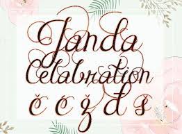 Janda Celebration C C Z đ S Novelty Sign Decor Novelty