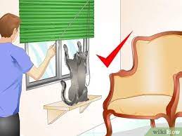 How To Train A Cat Not To Jump On Your Furniture 9 Steps