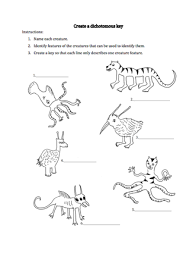 Pin De Tricia Stohr Hunt En Classification Dichotomous Keys