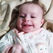 Two Elmwood boys die after Memorial Day crash