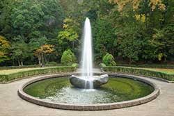 Italian Translation Of Fountain Collins English Italian Dictionary