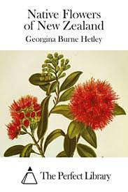 We did not find results for: Native Flowers Of New Zealand Hetley Georgina Burne Amazon Com