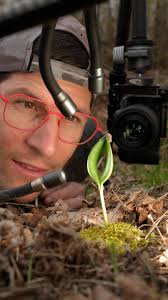 Natural vs Artificial Light — Macro Photography Lighting Test 🌱💡, This  image is called Unfolding., It’s a tiny scene I photographed of two leaves,  still held together by a seed, just emerging from the ...