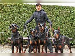 Maybe you would like to learn more about one of these? Jackie Chan Chinese Zodiac Jackie Chan At His Best Again English Movie News Times Of India