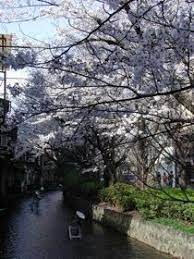 京都町家宿西木屋町仏光寺上る visiting hotel canal