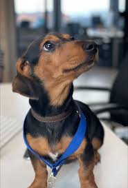 After nearly three years with Telcom; Ralph and I have decided to hang up… 