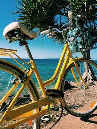 The Ultimate Guide To Noosa Australia Summer Aesthetic Yellow Aesthetic Summer Bike