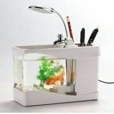 Inilah aquarium mini unik berbentuk rumah untuk ikan hias , harganya murah meriah gak bikin. Aquarium Unik Bentuk Mini Tinggal Colok Usb Harga Jual Com