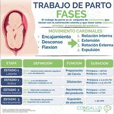 Flash Cards Consalud Enarm Enfermeria Obstetricia Obstetricia Y Puericultura Obstetricia