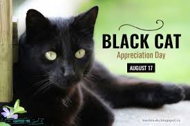 I happen to love black cats. Kwotes 4u Banner Black Cat Appreciation Day August 17 Blackcatappreciationday