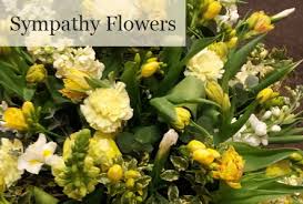 Maybe you would like to learn more about one of these? Woods Flowers Woodsflowers2 Twitter