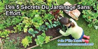 Les 5 Secrets Du Jardinage Sans Effort Calendrier Du Jardinier Jardinage Astuce Jardin