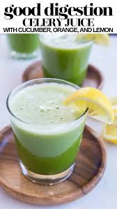 Then, once your salsa is all seasoned and ready to go, partay like it's yo birthday and dive in. Good Digestion Celery Juice The Roasted Root