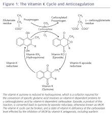 Image result for Anticoagulation