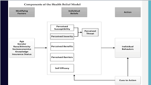 Chapter 4 Health Belief Model Diagram Quizlet