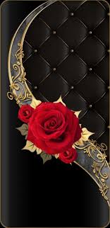 Pin By Silke Mader On Flowers Cute Flower Wallpapers New Flower Wallpaper Rose Wallpaper