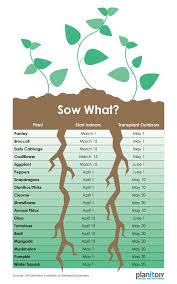 Use This Chart To Plan When To Start Seeds Indoors And When