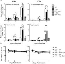 Quickly translate words, phrases, and web pages between english and over 70 languages. Autophagy Induction Targeting Mtorc1 Enhances Mycobacterium Tuberculosis Replication In Hiv Co Infected Human Macrophages Abstract Europe Pmc