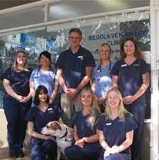 Before your next appointment, learn how pet insurance can reduce vet costs. Bilgola Veterinary Clinic Bilgola New South Wales Australia Facebook