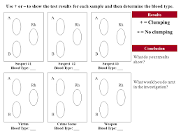 Blood Typing Activity Worksheet Nidecmege