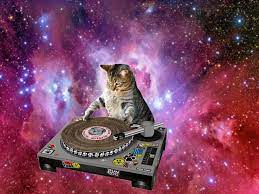 Pin By Lindsay Emmite On Cats In Space Neon Cat Cat Wallpaper Space Cat