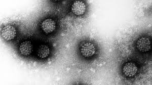 Hpv is not a new virus. Hpv Immer Mehr Manner Vom Virus Betroffen