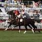 Polo in Newport
