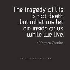 Protected Blog Log In Words Quotes Quotations Quotable Quotes