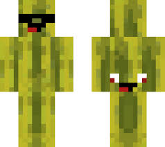 Er hat eine ausbildung zum immobilienkaufmann erfolgreich abgeschlossen. Alphastein Melon Minecraft Skin