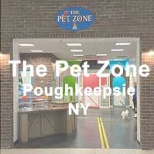 (6 days ago) favorite neighborhood small pet shop. The Pet Zone Ny Albany Poughkeepsie Queensbury Watertown Home Page