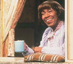 Helen dorothy martin was an american actress of stage and television. Helen Martin Profile Net Worth Age Relationships And More