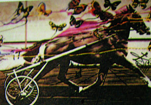 images?q=tbn:ANd9GcRkp3RIhOkAbTWV3eBrQyxAux-sW-5PfaPYGT4IG_ZTOTHADpVs6Tv6Wpo&s=10
