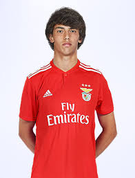 209 x 408 png 99 кб. Manchester United Estuda Oferecer R 475 Milhoes Para Ter Joao Felix Esportenet