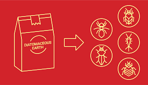 Diatomaceous earth is a fine dust made from the bodies of fossilized prehistoric crustaceans called diatoms. Five Things You Should Know About Diatomaceous Earth Dodson Pest Control