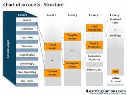 Sap Financial Accounting Fi Chart Of Accounts