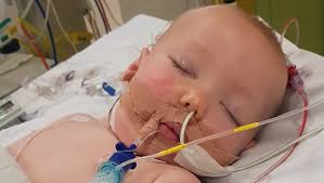 Fundraiser by Wess Tracy : Help Hudson's recovery