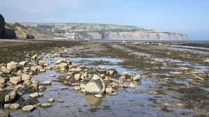 What Causes High Tide And Low Tide Why Are There Two Tides