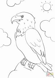 Includes beautiful designs ( elephant, horse, unicorn, butterfly, owl, turkey, lion, bear, eagle & more) what you receive: Pin On Bird Drawings