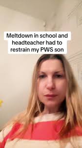 Meltdown en la escuela: la experiencia de Mark